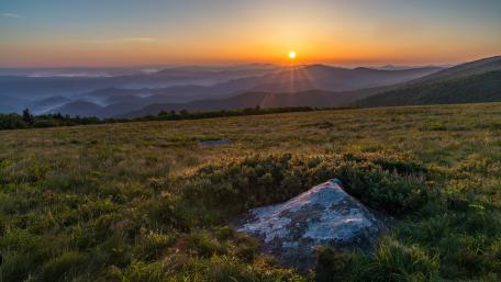 Sunrise Over Roan Mountain's Rolling Grasslands wallpaper