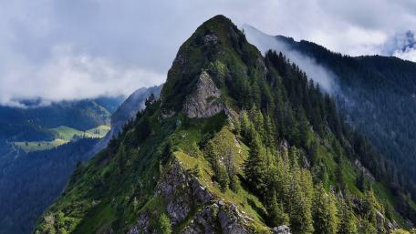 Mountain Majesty Surrounded by Mist wallpaper