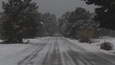 Winter forest road wallpaper
