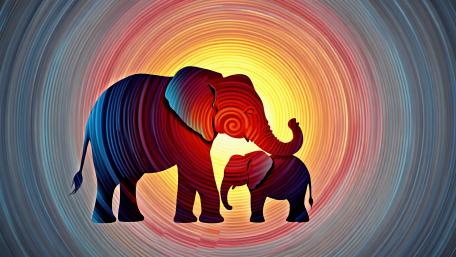 Mother Child Elephant wallpaper