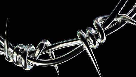 Barbed Beauty in Monochrome wallpaper