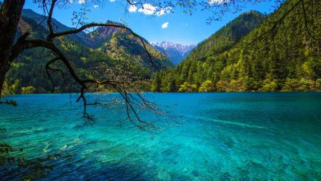 Jiuzhaigou's Enchanting Turquoise Lake wallpaper