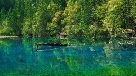 Five Flower Lake, Jiuzhaigou Valley wallpaper