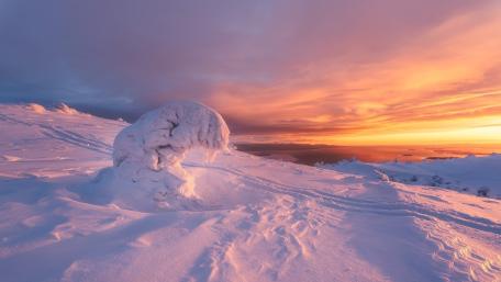 Winter Serenity at Dawn wallpaper