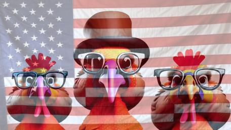 Chickens in Disguise: A Patriotic Parade wallpaper