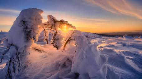 Winter Wonderland at Sunset wallpaper