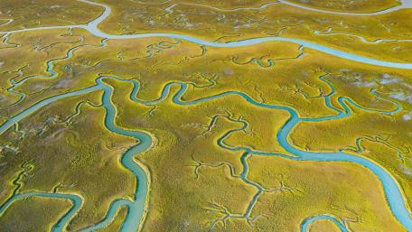Winding Waterways and Lush Marshes Aerial View wallpaper