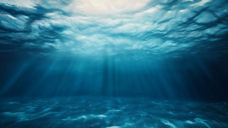 Underwater world wallpaper