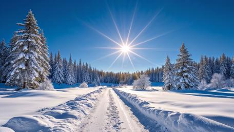Nature wallpaper wallpaper