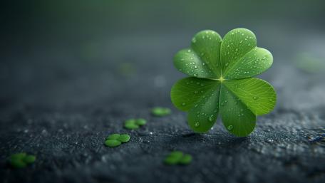 Lush Green Four-Leaf Clover Wallpaper wallpaper