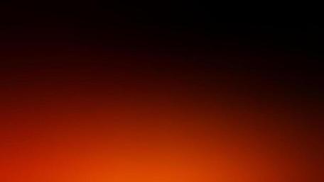 Warm Hues of Abstract Elegance wallpaper