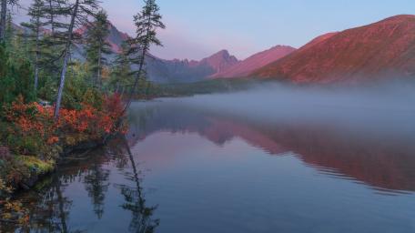Serenity at Jack London Lake in Morning Mist wallpaper