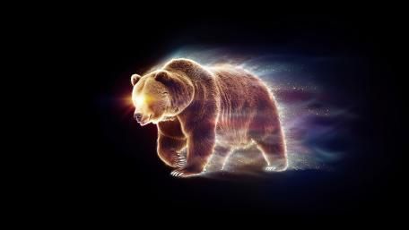 Luminous Bear wallpaper