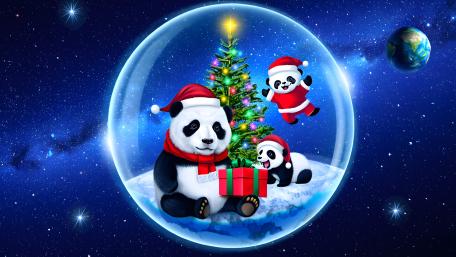 Festive Pandas Celebrating Christmas Cheerfully wallpaper