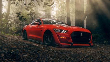 Stunning Red Mustang in a Mystical Forest Scene wallpaper