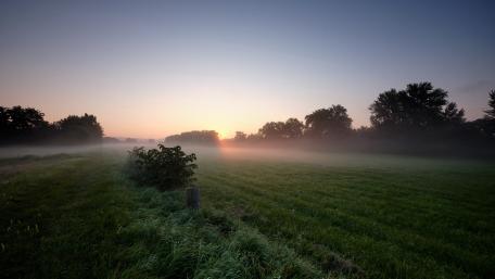 Misty Sunrise Over Nyírlugos Meadow in Hungary 5K Nature Wallpaper wallpaper