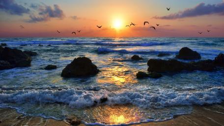 Golden Afterglow Over Rocky Coastline at Dusk wallpaper