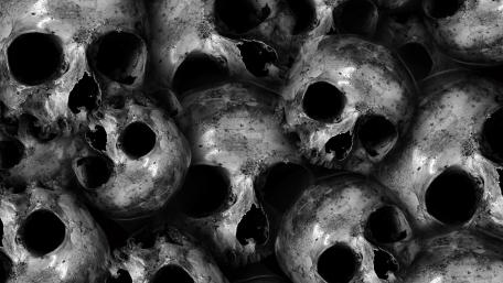Monochrome Skull Pile Shadows in Silent Bone Landscape wallpaper