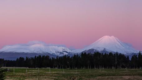 Pastel Dawn Over Snowy Mount Ruapehu Volcano New Zealand wallpaper