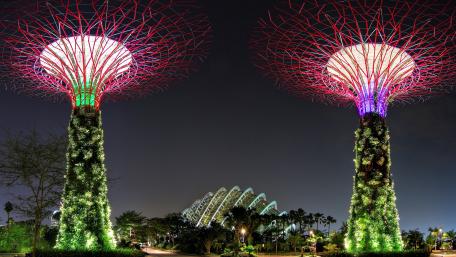 Radiant Supertrees Lighting Up Singapore Night Skyline wallpaper