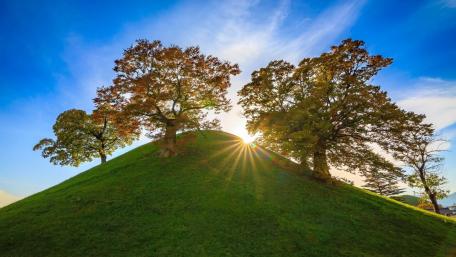 Sunburst Over Autumn Trees at Daereungwon Tomb Complex Gyeongju wallpaper