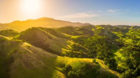 Sunlit Green Hills and Valleys in a Golden Landscape wallpaper