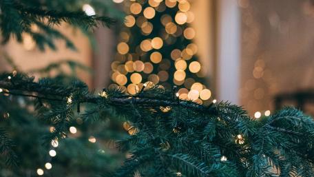 Cozy Christmas Bokeh Lights Glowing Through Evergreen Branches wallpaper