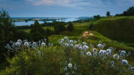 Rolling Green Hills Above the Oka River in Konstantinovo Russia wallpaper