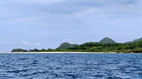 Tranquil Horizons of Agho Island Beach wallpaper