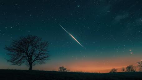 Shooting Star Over Silent Tree Silhouette Under Endless Constellations wallpaper