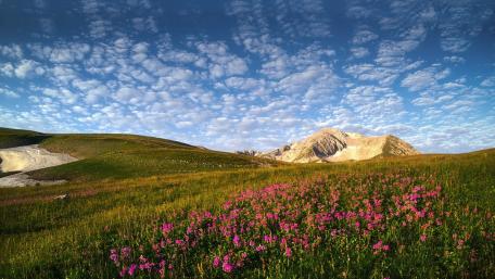 Wildflower Meadow Across Rolling Highlands Under a Vast Clouded Sky wallpaper