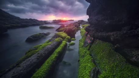 Mossy Seawall Rocks at Sunset Over a Calm Coastal Tidepool wallpaper
