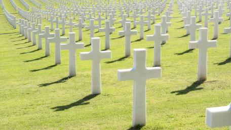 Silent Rows of White Crosses in a Sunlit War Cemetery wallpaper