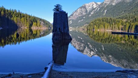 Mirror Calm at Lacul Roșu Romania Mountain Lake Reflection wallpaper