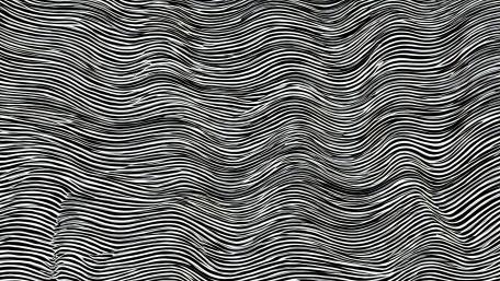 Monochrome Wavefield Lines in Hypnotic Black and White wallpaper