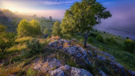 Sunrise Calm Over Misty Hills and a Lone Tree wallpaper