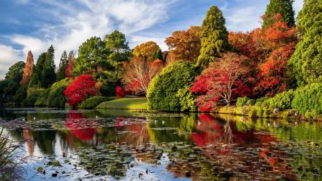 Autumn Reflections on Sheffield Park Lake in the United Kingdom wallpaper