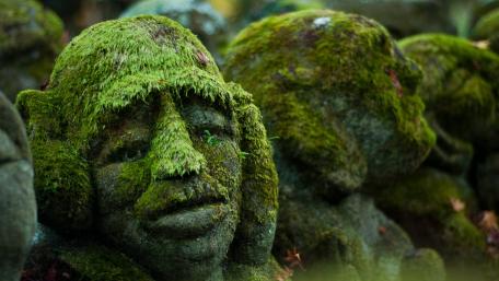 Moss Covered Rakan Stone Statues in Otagi Nenbutsu ji Kyoto wallpaper