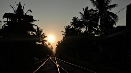 Sunset Rails Through Palm Silhouettes in Aghagama Sri Lanka wallpaper