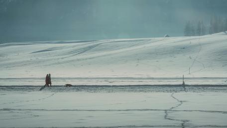 Quiet Winter Walk Across Vast Snowy Fields in 5K wallpaper