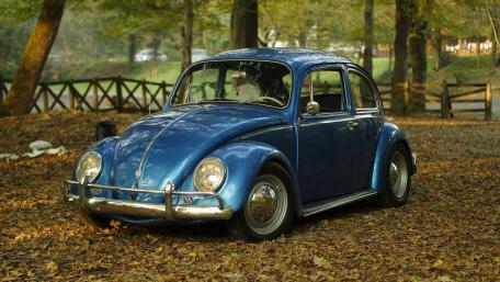 Blue Volkswagen Beetle in Autumn Park 4K Vintage Car Wallpaper wallpaper