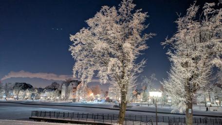 Frostlit City Park Night with Snowy Trees and Street Lamps wallpaper