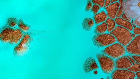 Turquoise Drift with Copper Cells in Fluid Abstract wallpaper