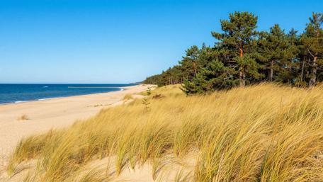 Serene Coastal Landscape with Golden Sands and Blue Waters wallpaper