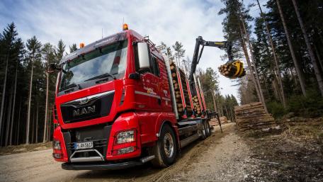 Powerful MAN Logging Truck in Forest Road 4K Wallpaper wallpaper