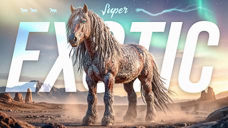 The Mystic Stallion: A Glimpse into the Exotic wallpaper
