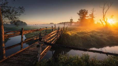 Misty Sunrise Over Wooden Bridge and Quiet Canal Field wallpaper