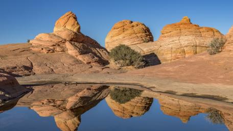 Mirror Pool Among Sandstone Domes at Coyote Buttes North Arizona wallpaper