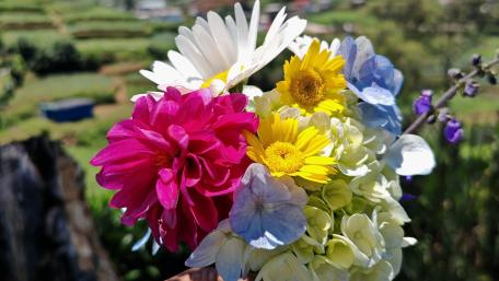 Vibrant Floral Bouquet from Sri Lanka wallpaper