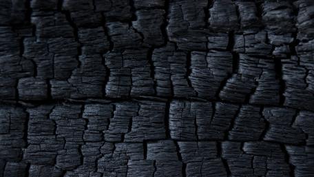 Ash Black Charcoal Cracks in Burnt Wood Texture Wallpaper wallpaper